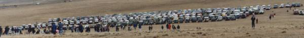 10k pic of 530 Landys in paddock at Cooma