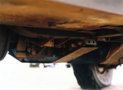 click here for medium size pic