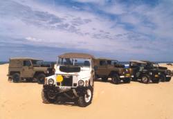 click on pic for BIG PIC