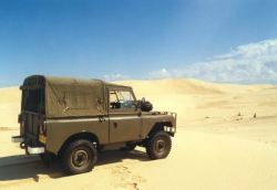 click on pic for BIG PIC