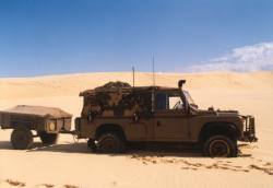 click on pic for BIG PIC