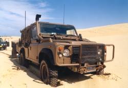 click on pic for BIG PIC