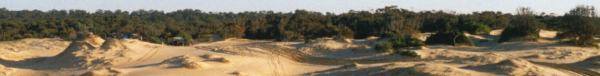 click here for BIG pic