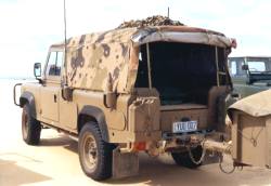 click on pic for BIG PIC