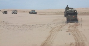 click on pic for BIG PIC