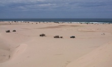 click on pic for BIG PIC