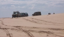 click on pic for BIG PIC