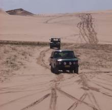 click on pic for BIG PIC